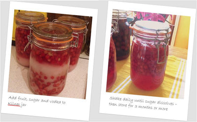 Gardening leave and preserving fruit liquer
