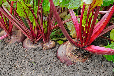 Seasonal produce - what to do with beetroot