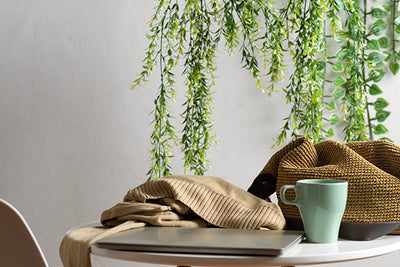 Body soul and gardening - biophilia for well-being