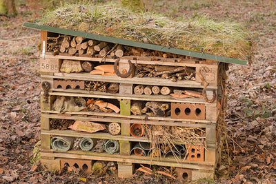 Father's Day fun - building a bug hotel with the kids
