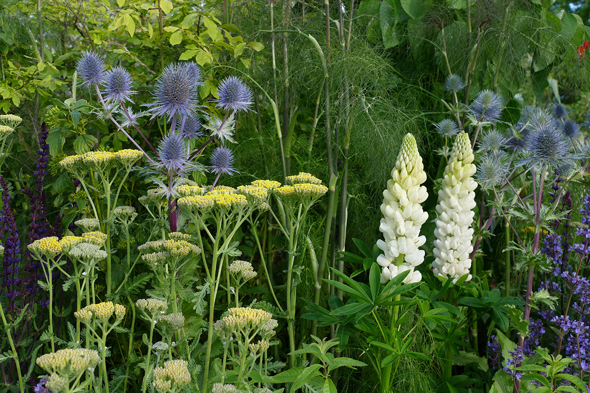 Body, soul and soil - calm colours in the garden