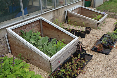 Technology in the garden - cold frame know-how