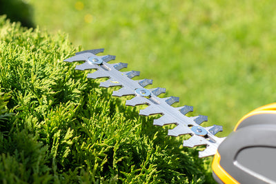Technology in the garden - cordless hedge trimmers
