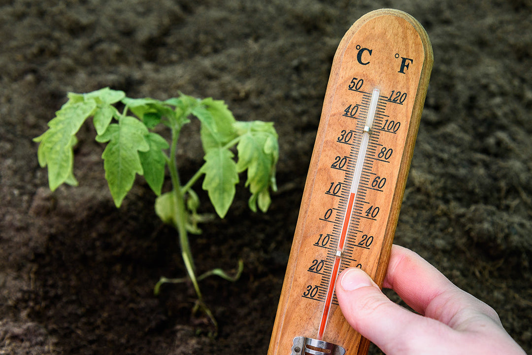 Garden gadgets - thermometers