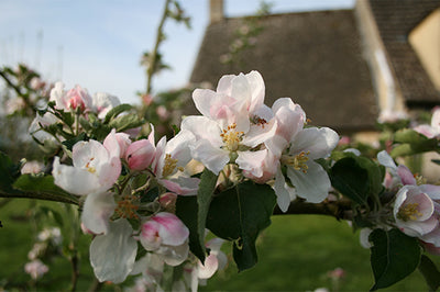 Is the gardener's calendar changing?