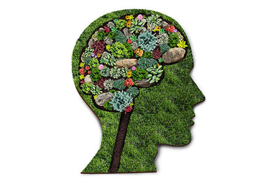 Body, soul and gardening - gardening for mental health