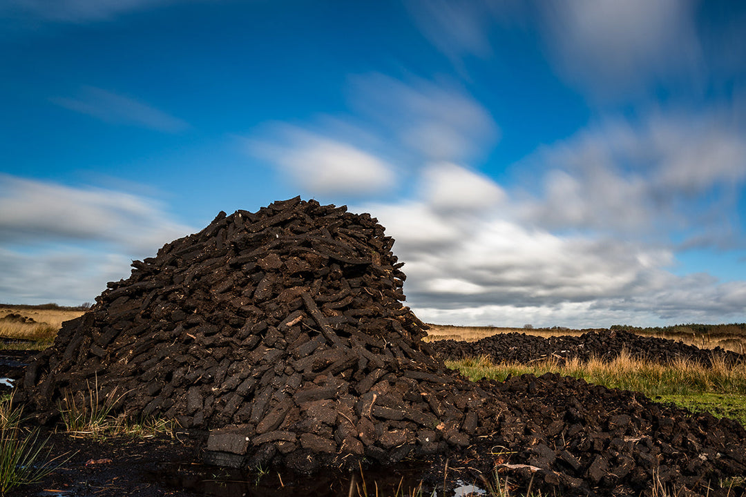 Greener gardening - peat-free potting