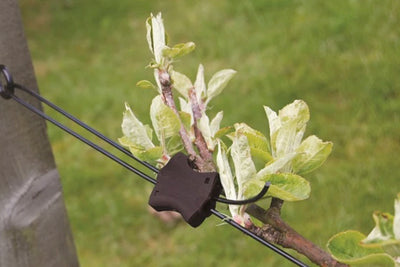 Technology in the garden - the Gripple system