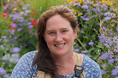 Q&A with Helen Barbour, Picton Garden