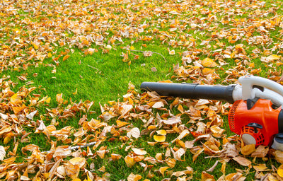 Technology in the garden - leaf blowers