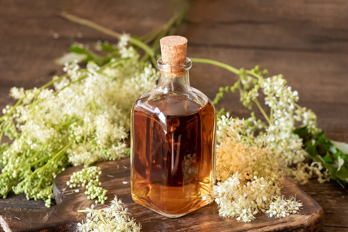 Plant folklore - meadowsweet