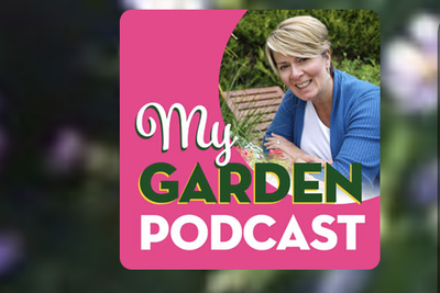Podcast:  My Garden Podcast