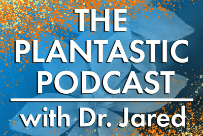 Podcast - Plantastic Podcast