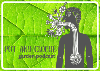 Vlog - Pot & Cloche podcast