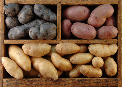 Super spuds! The joy of choosing potato varieties