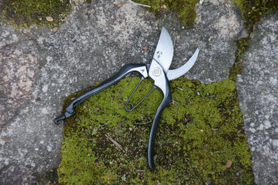 Why do you garden?  Let us know and win a pair of secateurs worth £80