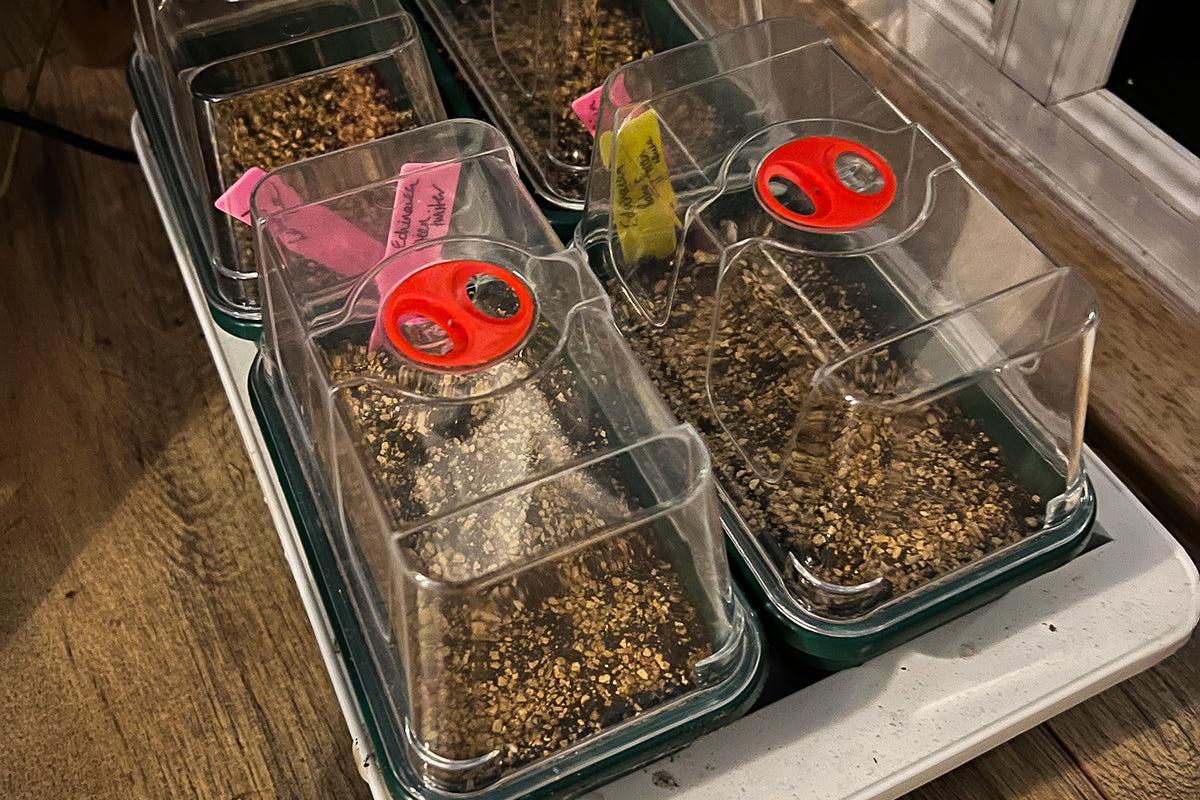 Garden gadgets - heated propagators