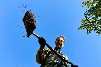 Soil transformation