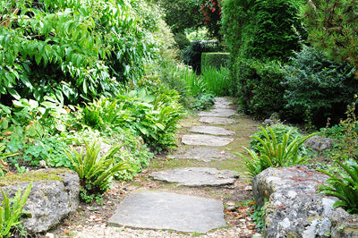 Garden trends- stepping stones