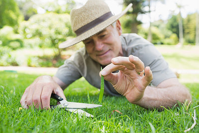 Gardening fanatic mows lawn six times weekly