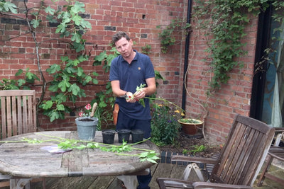 Vlog: The Enduring Gardener
