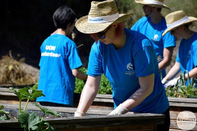 University gets students gardening