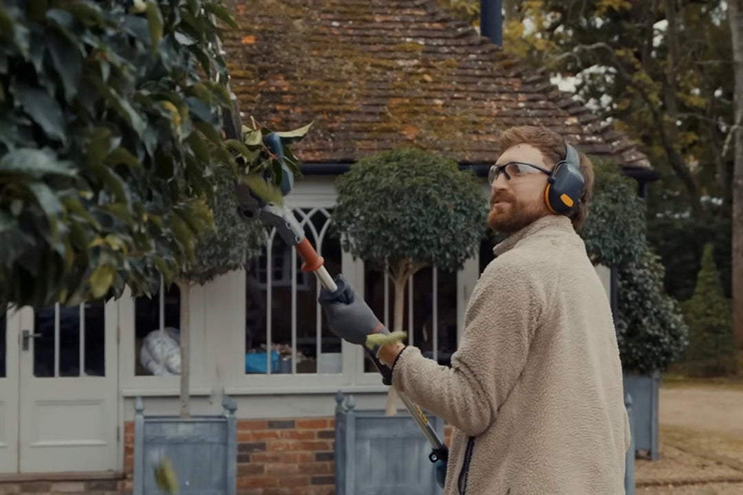 Modern heroes of horticulture - Will Cronin, Excelsis Gardens