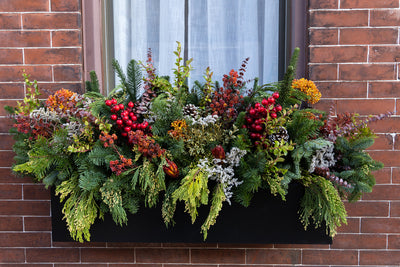 Top of the pots - window boxes for winter