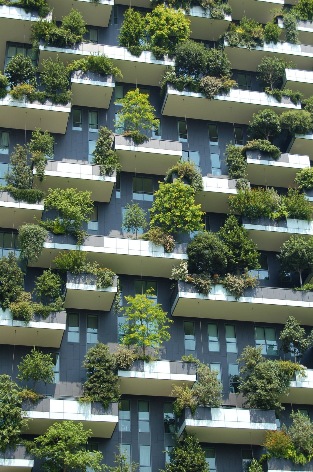 Five fantastic examples of urban gardening