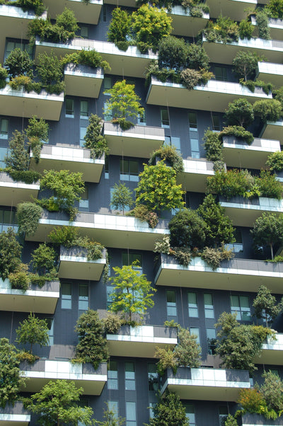Five fantastic examples of urban gardening