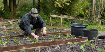 Horticultural therapy for veterans