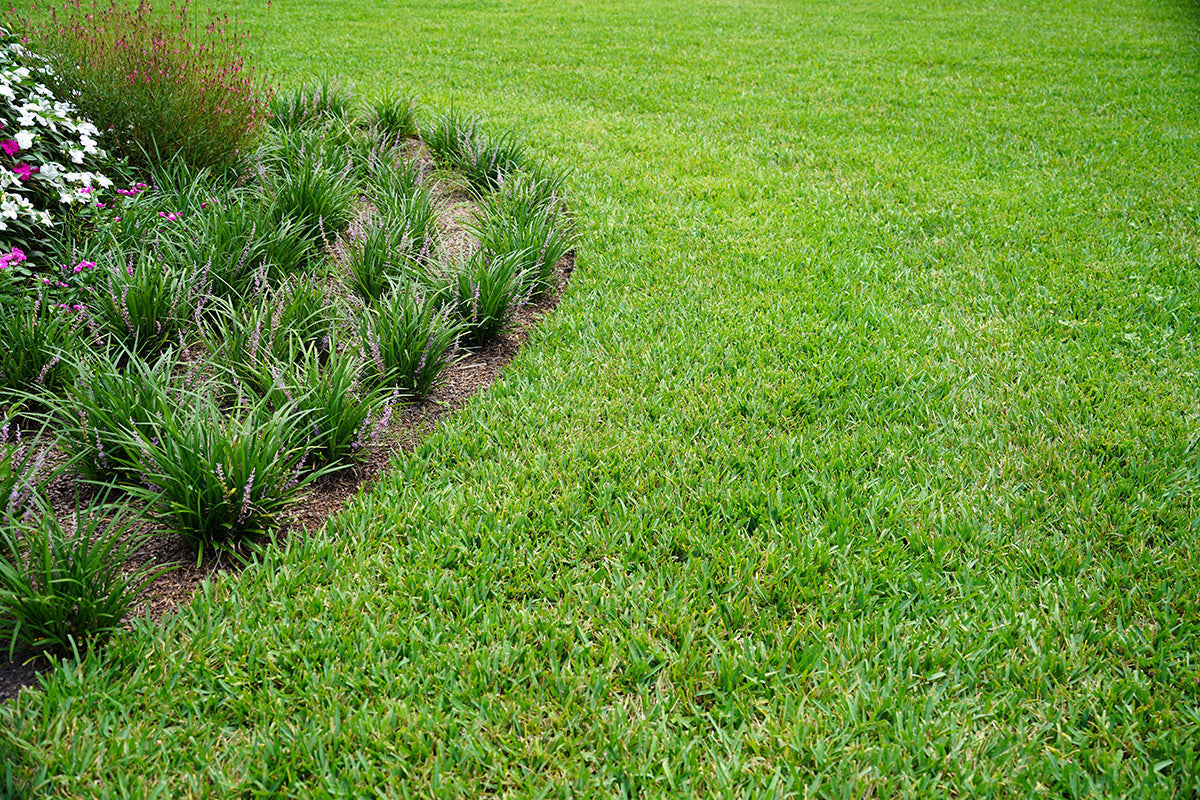 Gardeners' notes - jobs to do in March