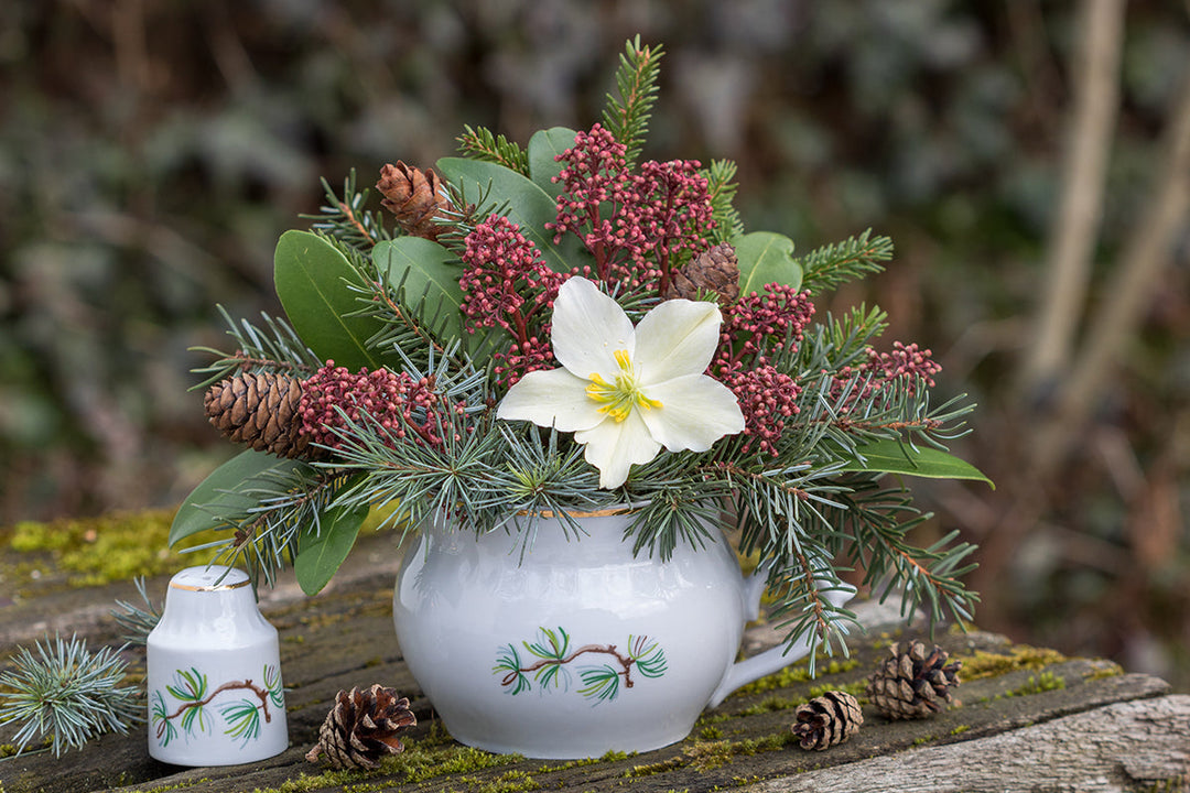 Greener gardening - sustainable cut flowers