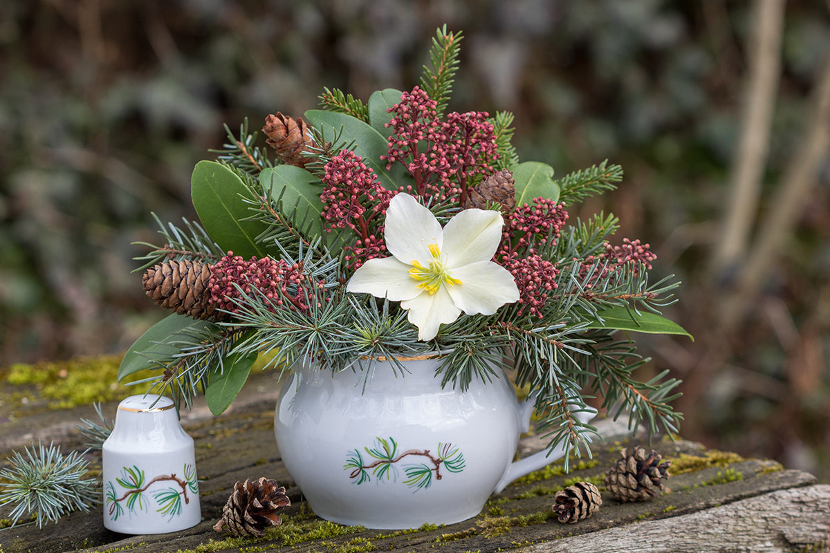 Greener gardening - sustainable cut flowers