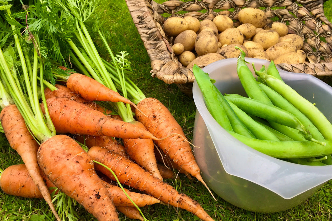 Body, soul and soil - harvest happiness