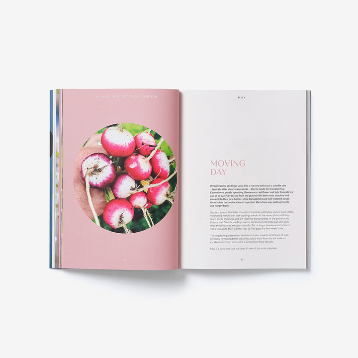 Genus A Year In A Cottage Garden Book showing radishes
