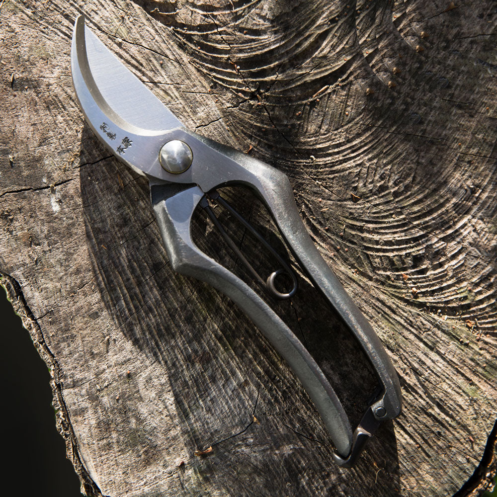 Genus Japanese Secateurs on some wood