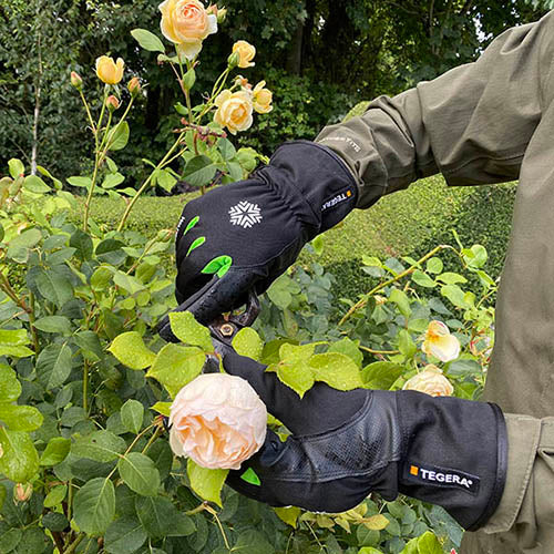 Genus Waterproof gardening Gloves