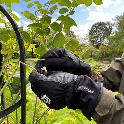 Genus Waterproof gardening Gloves in a garden with some plants 