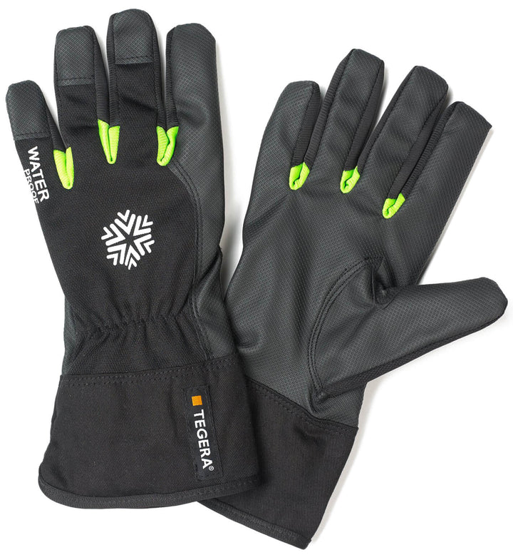Winter Gloves  Bundle